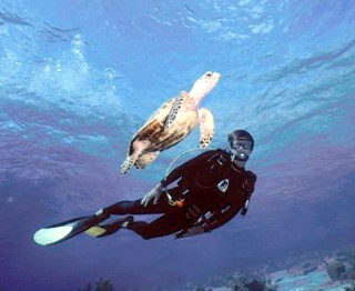Photo of scuba diver with turtle goes here.