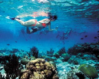 Photo of snorkeler in Belize goes here.