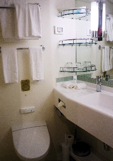 Photo of Standard Balcony Cabin Bathroom on Royal Princess goes here.*