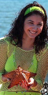 Starfish are among the "finds" cruisers will discover while snorkeling or scuba diving.