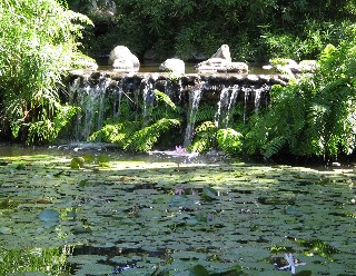 Photo of eco-area goes here.