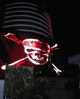 Photo of skull goes here.